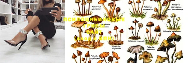 каннабис Медвежьегорск
