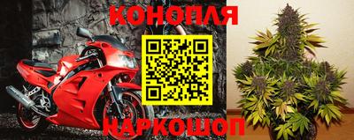 СК Краснодар