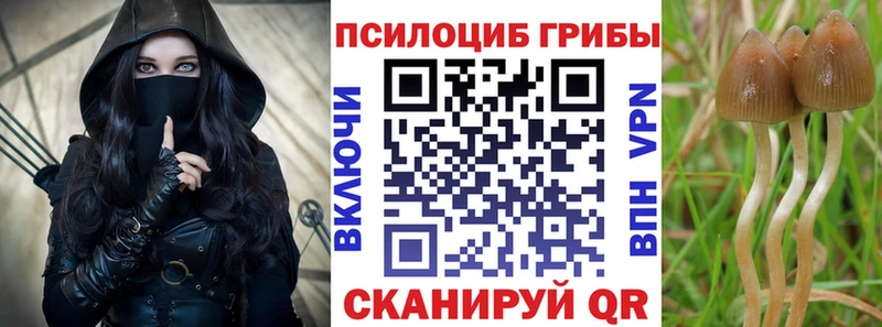 Псилоцибиновые грибы прущие грибы  blacksprut tor  Ливны 